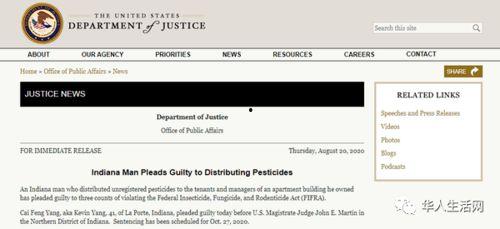 国产华人在线,探索中国互联网文化新篇章  第3张