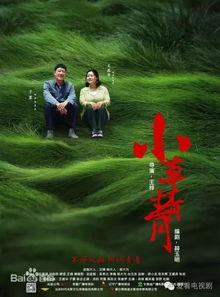 青青小草国产在线播放,国产在线播放的清新之作  第3张