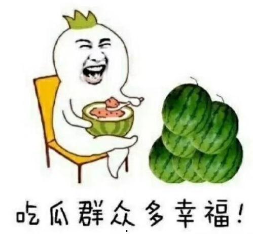 娱乐吃瓜文章,揭秘明星幕后故事与精彩瞬间